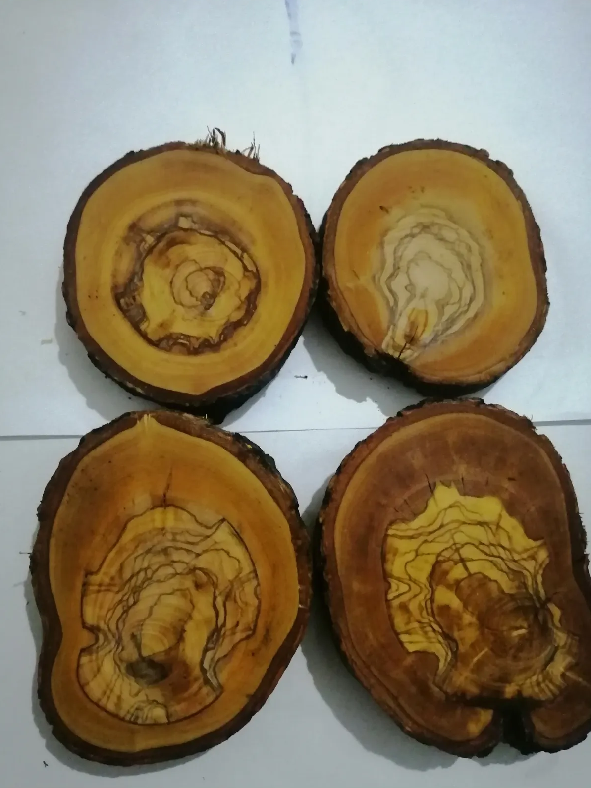 Epoksi Yapımı İçin Ağaç Dilimi, 5 Adet Zeytin Ağacı Kütük Dilim, Desenli Ağaç Kütük Dilim
