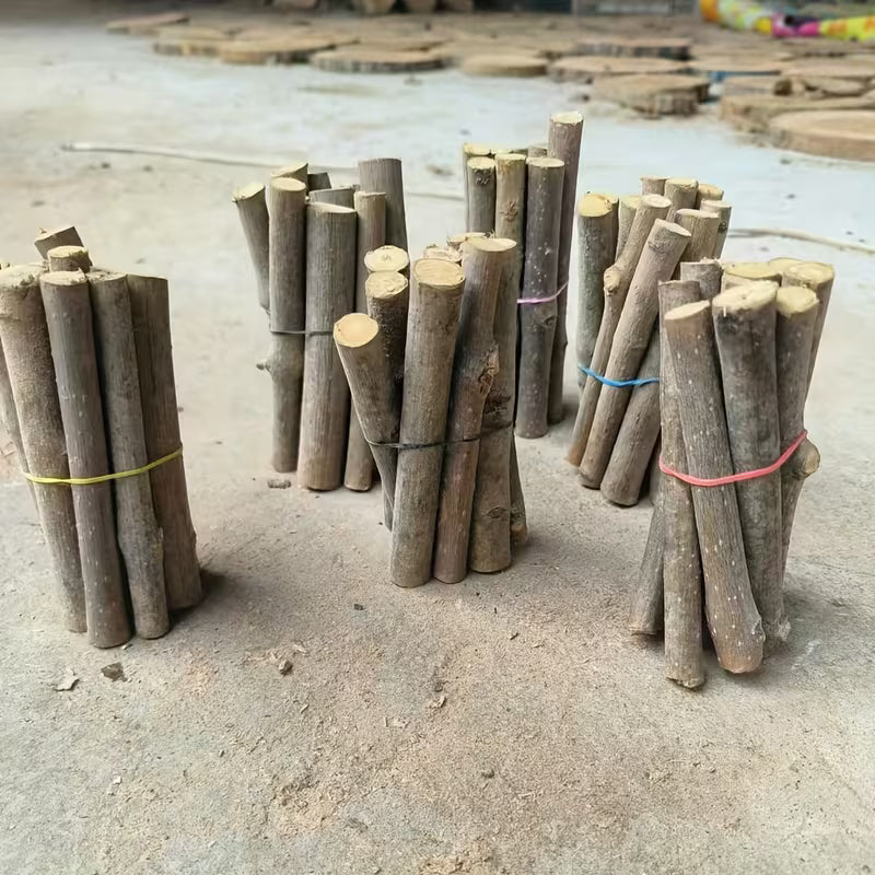 10 Adet Ağaç Dalı, 10 Cm Boyunda Etkinlik Dekor, Dekoratif Ağaç Dalı