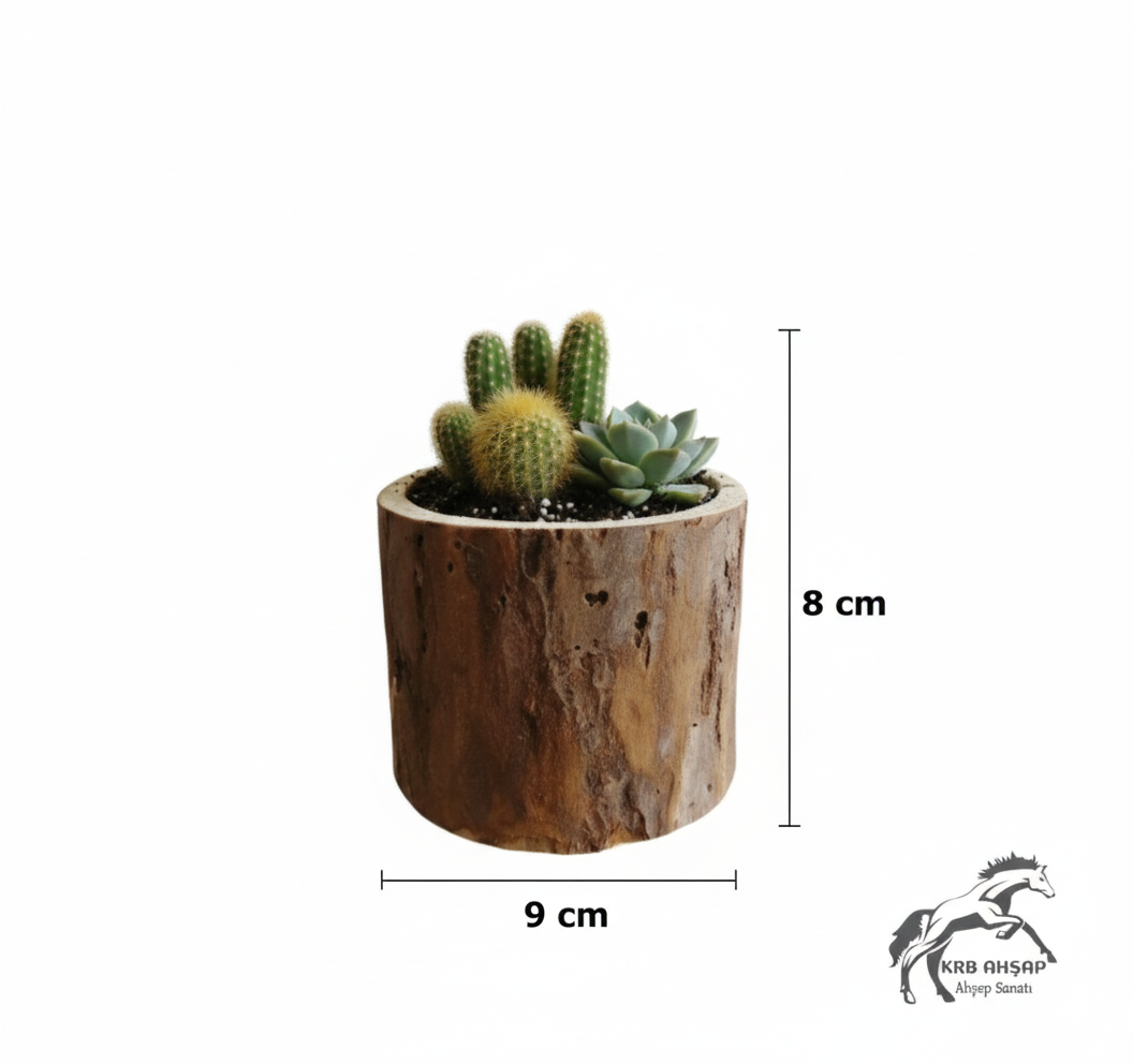 Çiçeklik, Kaktüs Saksısı, Sukulent Saksısı, Doğal Kütük Saksı, Dekoratif Saksı