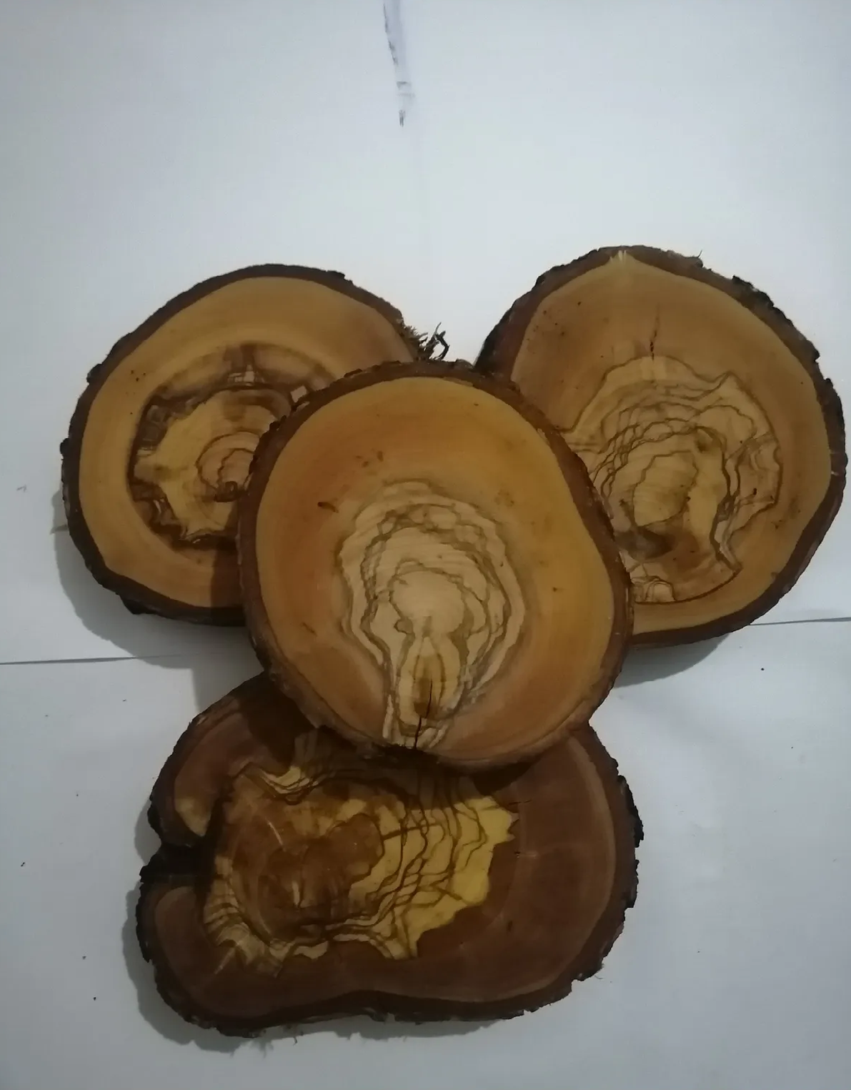 Epoksi Yapımı İçin Ağaç Dilimi, 5 Adet Zeytin Ağacı Kütük Dilim, Desenli Ağaç Kütük Dilim
